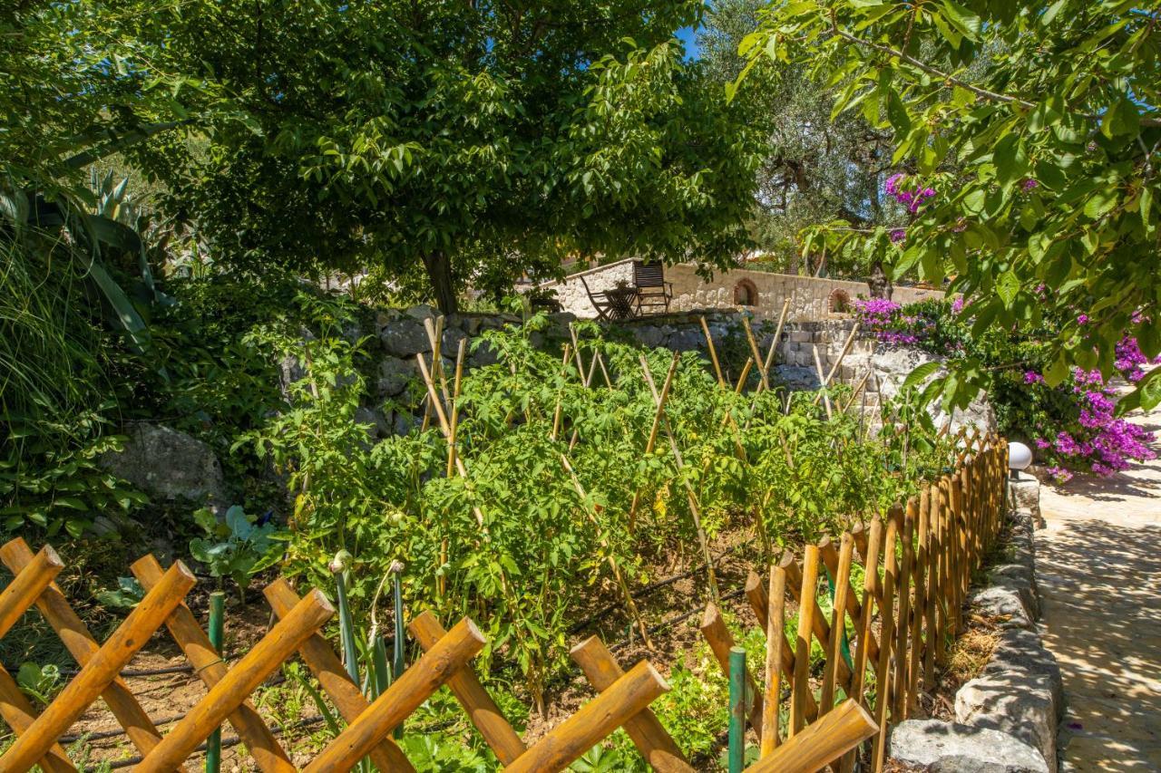 Etno House Wagner Villa Ploce  Luaran gambar